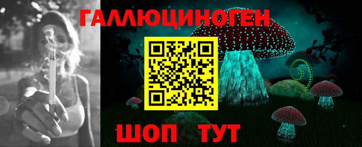 Волжск  Галлюциногенные грибы прущие грибы  Вход с VPN 
